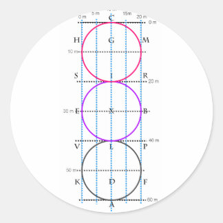 20x60m Dressur Court **Circles* Runder Aufkleber