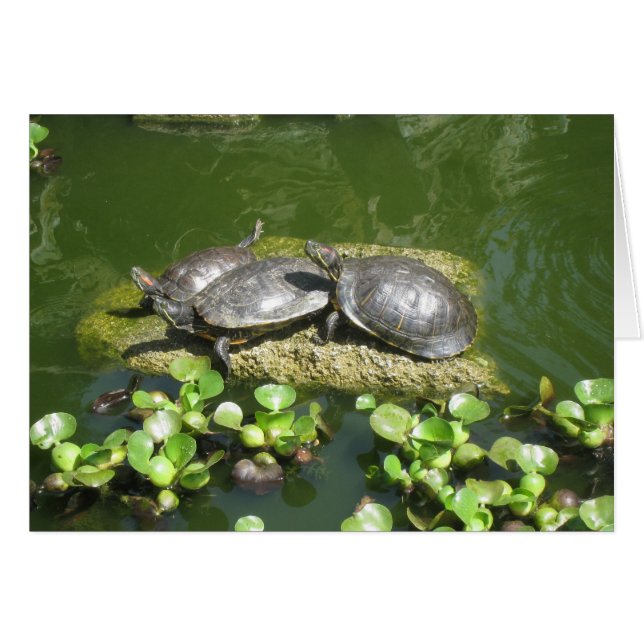 21-10 246 (Vorderseite (Horizontal))