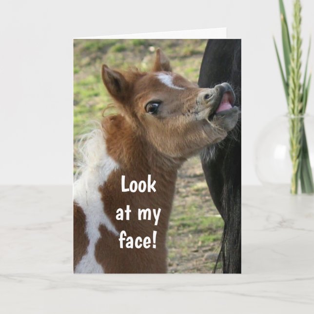 **21. GEBURTSTAG** ÜBERRASCHTER PONY KARTE (Vorderseite)