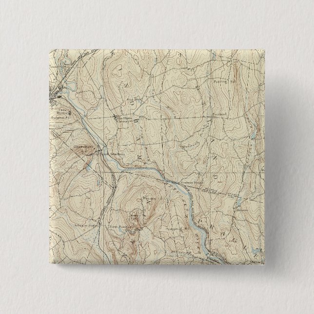 21 Nordwich-Blatt Button (Vorderseite)