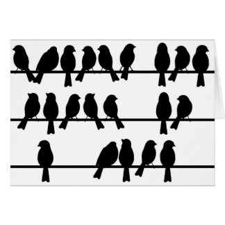 21 oiseaux sur un fil