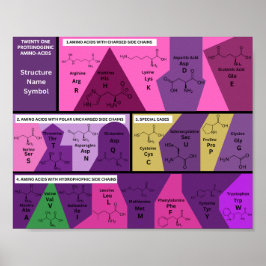 21 proteinogen wirkende Aminosäuren in biologische Poster