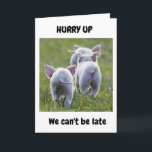 **21st BIRTHDAY** FROM RUNAWAY FUN LOVING PIGS Karte<br><div class="desc">ICH HABE DIESES FOTO GENUG GENUG GENOMMEN UND DIESE KARTE GEMACHT,  WEIL ICH "WISSEN",  DASS JEMAND "ES AUCH LIEBE" MACHEN WIRD,  UND ICH HOFFE,  DASS SIE GENUG SIND,  ES EINEM FREUND ODER FAMILIENMITGLIED ZU SENDEN ODER ZU GEBEN :)</div>