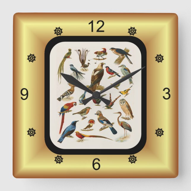 22 Arten exotischer Vögel ~ L. Prang & Co. Quadratische Wanduhr (Vorderseite)