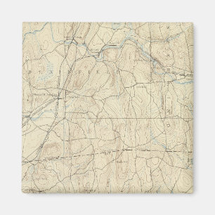 22 Moosup-Blatt Magnet