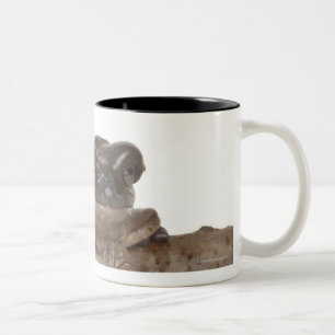 23568138 ZWEIFARBIGE TASSE
