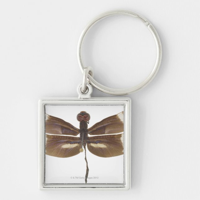 23599152 SCHLÜSSELANHÄNGER (Vorne)