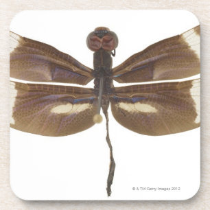 23599152 UNTERSETZER