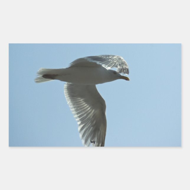 2367 RECHTECKIGER AUFKLEBER (Vorderseite)