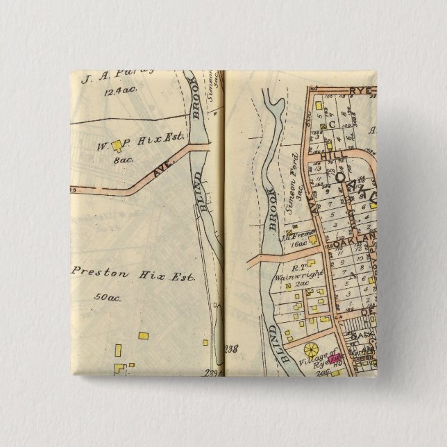 238239 Roggen Button (Vorderseite)