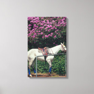 23893981 LEINWANDDRUCK