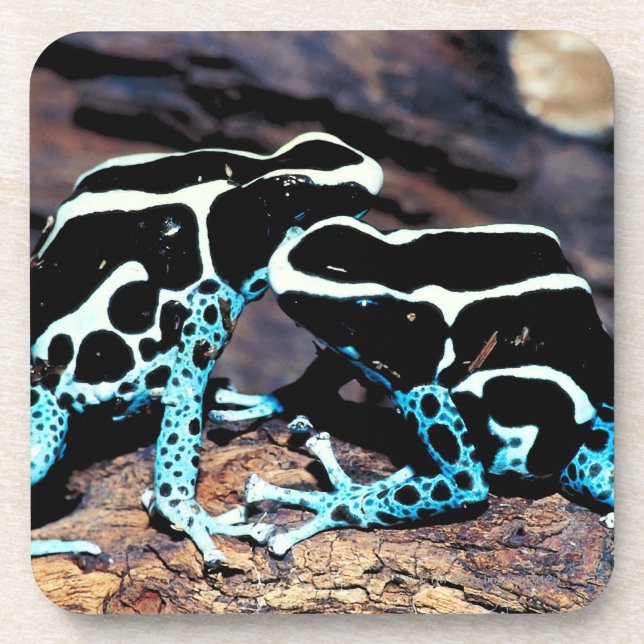 23898179 GETRÄNKEUNTERSETZER (Vorderseite)