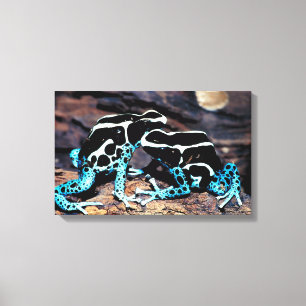 23898179 LEINWANDDRUCK