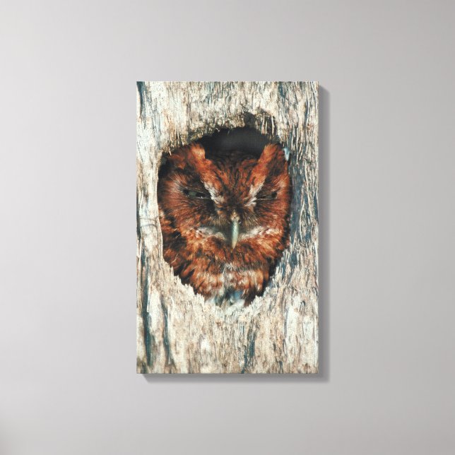 23899023 LEINWANDDRUCK (Vorderseite)