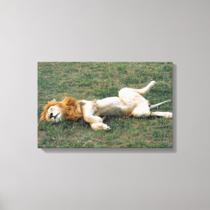 23899172 LEINWANDDRUCK