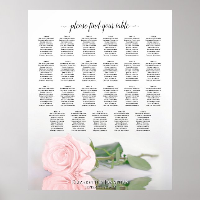 23 Tabelle Rosa Rosenblütendiagramm Poster (Vorne)