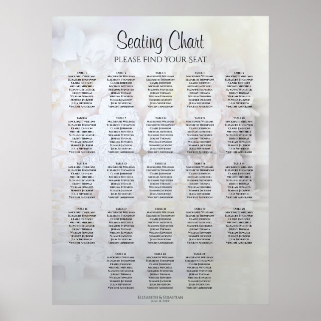 23 Tafelweiße Reflektionen Hochsitzdiagramm Poster (Vorne)