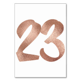 23 Tischnummern Weißes Metallisches Rosengold