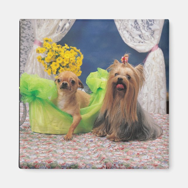 24095240 MAGNET (Vorne)