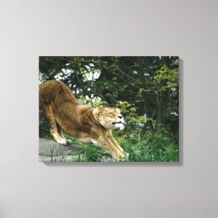 24114343 LEINWANDDRUCK