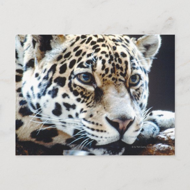 24114363 POSTKARTE (Vorderseite)