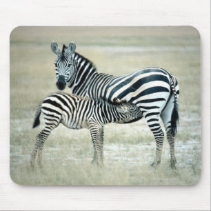 24114480 MOUSEPAD