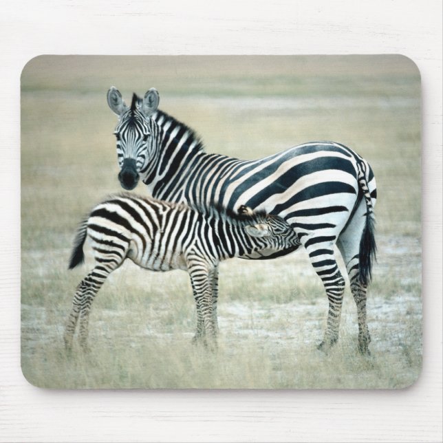 24114480 MOUSEPAD (Vorne)