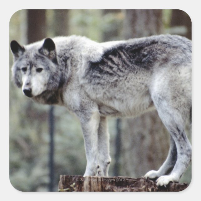 24114488 QUADRATISCHER AUFKLEBER (Vorderseite)