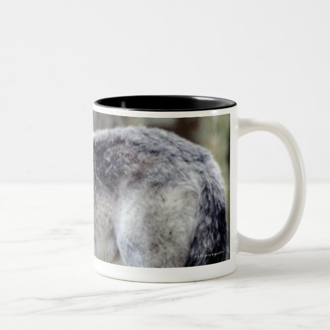 24114488 ZWEIFARBIGE TASSE (Rechts)