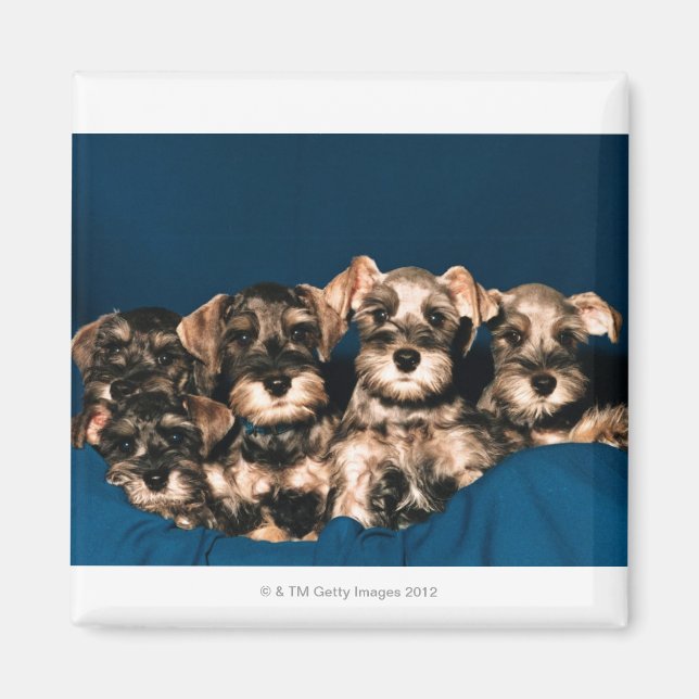 24117057 MAGNET (Vorne)