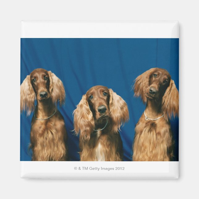 24119671 MAGNET (Vorne)