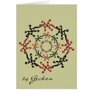 24 Geckos