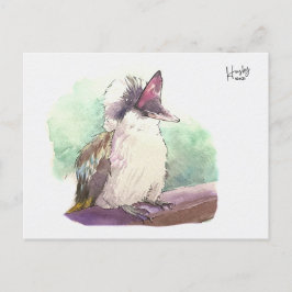 24 : Kookaburra Postkarte