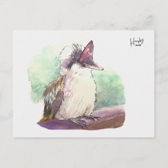 24 : Kookaburra Postkarte (Vorderseite)