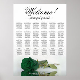 24 Tableau Émeraude Vert Rose Mariage Siège