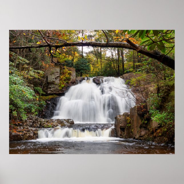24"x18" im Herbst fallen Poster (Vorne)
