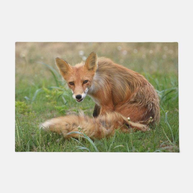 24" x 36" Door Mat von Fuchs Fußmatte (Vorderseite)