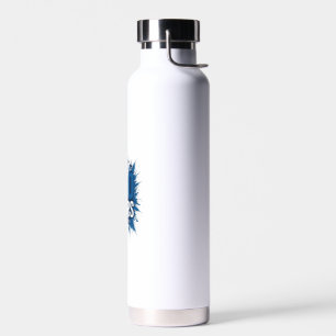 250 Jahre patriotisches Jets-Jubiläums-Vektor-Desi Trinkflasche