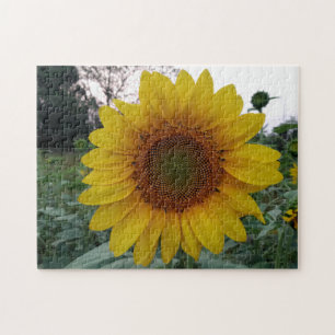 252-Teile-Puzzle mit einem auffälligen Sonnenblume