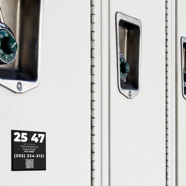 2547  MAGNET (In Situ (Schrank))