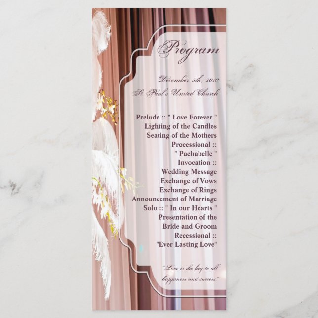 25 4x9 Hochzeitsprogramm Feather Centre Piece Glam Programm (Vorderseite)