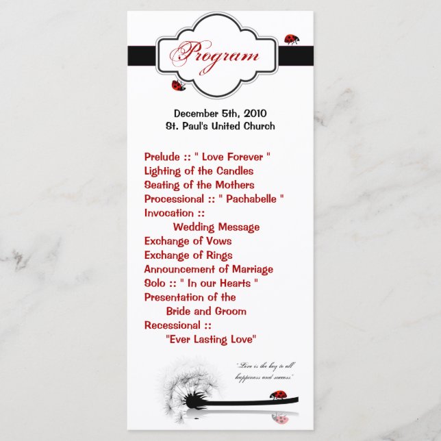 25 4x9 Hochzeitsprogramm Lady Bug Dandilion Blume Programm (Vorderseite)