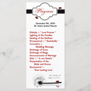 25 4x9 Hochzeitsprogramm Lady Bug Dandilion Blume Programm