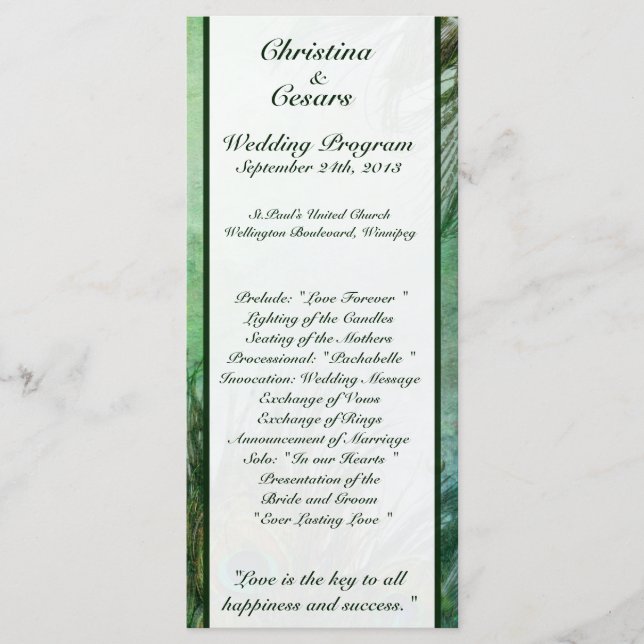 25 4x9 Hochzeitsprogramm Pfauengrüne Federn Programm (Vorderseite)