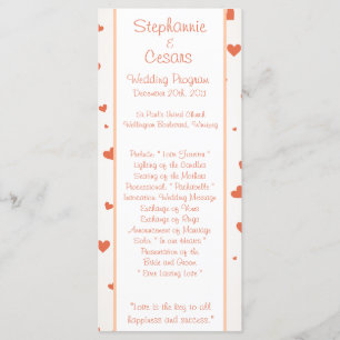 25 4x9 Hochzeitsprogramm Pinguin Liebe/Herz Peach Programm
