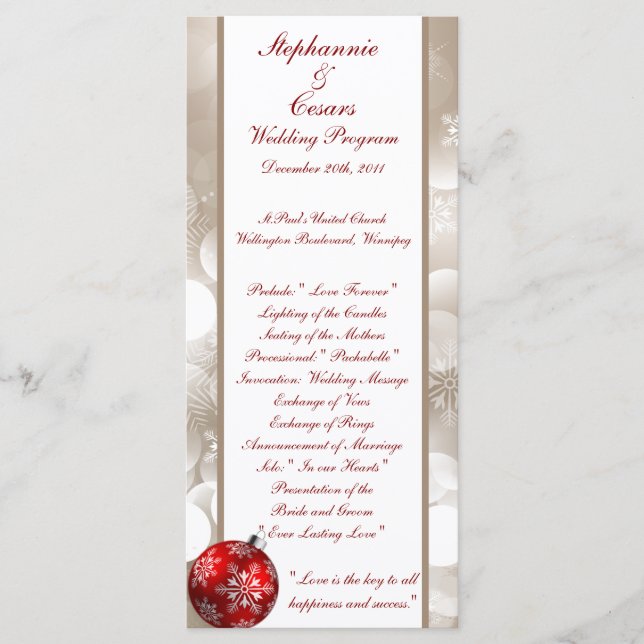25 4x9 Hochzeitsprogramm Winter Blur Programm (Vorderseite)