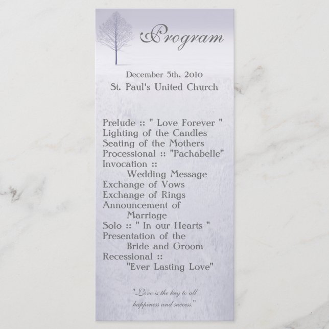 25 4x9 Hochzeitsprogramm Winter Wunderland Bäume S Programm (Vorderseite)