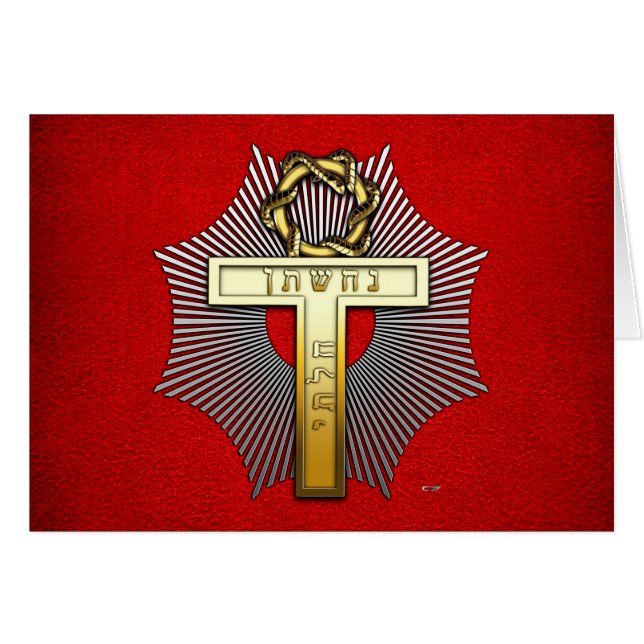 25. Grad: Master of Achievement (Vorderseite (Horizontal))