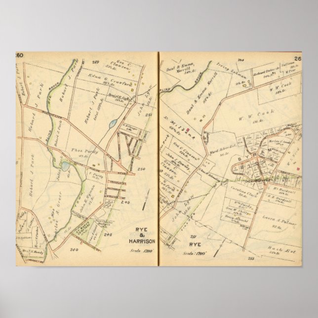 260261 Rye, Harrison Poster (Vorne)