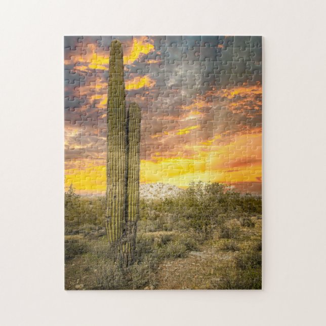 2706-Wüste Landschaft von Arizona bei Sonnenunterg (Vertikal)